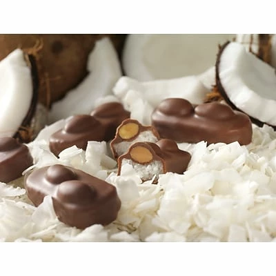 Deals ๐ Candy & Chocolate Almond Joy Snack Size ๐ฌ Candy Bars, 20.1 Oz., 2/Pack (246-00348) ๐ 7 Deals ๐ Candy & Chocolate Almond Joy Snack Size ๐ฌ Candy Bars, 20.1 Oz., 2/Pack (246-00348) ๐ - Image 5